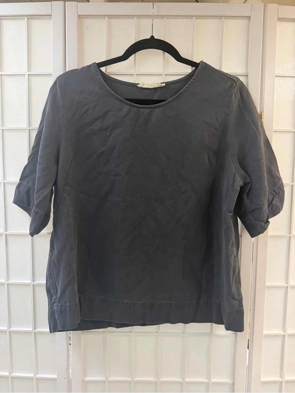 Everlane the relaxed tee in buttersoft graphite grey size medium EUC
